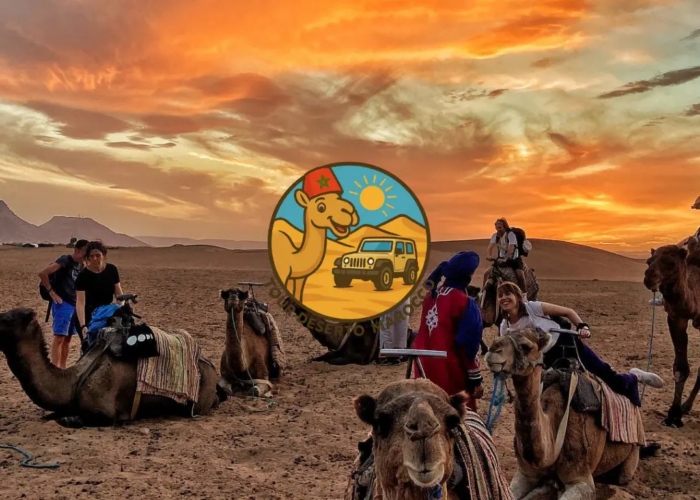 Veduta panoramica del Sahara con cammelli al tramonto durante il Tour Deserto Marrakech 2 Giorni a Zagora.