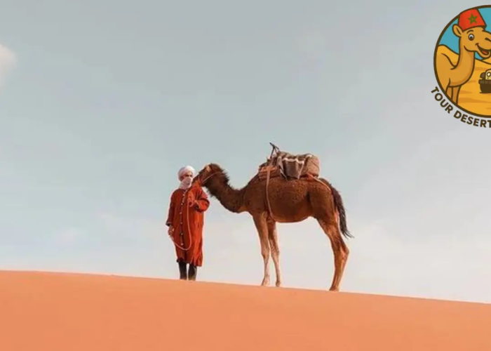 Tour deserto Marocco 3 giorni – panoramica del Sahara a Merzouga con dune dorate e cielo limpido