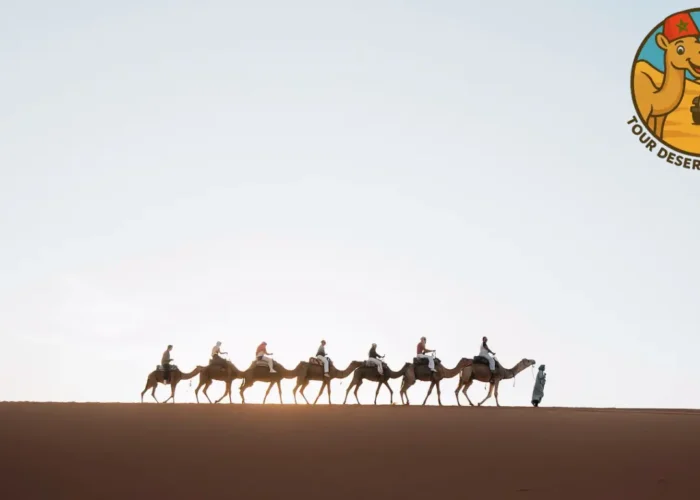 Viaggio di 5 giorni in Marocco attraverso le città imperiali, le montagne dell’Atlante e il deserto del Sahara al tramonto con carovana di cammelli.