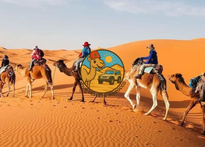 Trekking in cammello tra le dune dorate di Erg Chebbi durante l’Itinerario Marrakech 7 Giorni con escursione nella Valle dell’Ourika