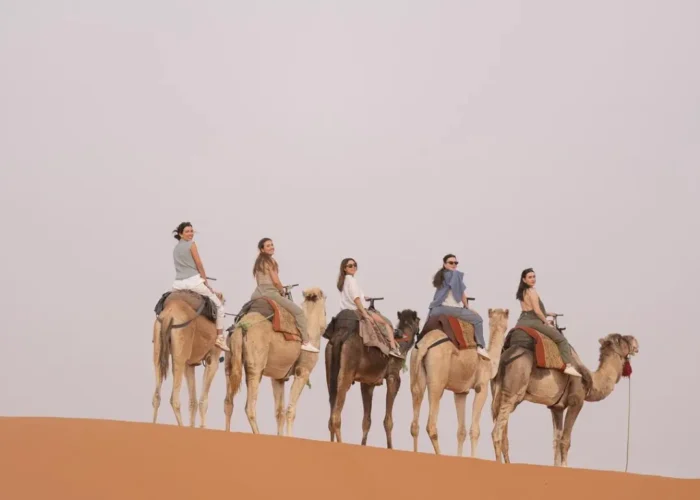 Panorama del deserto del Sahara al tramonto con carovana di cammelli durante una settimana in Marocco tra Fès e Marrakech