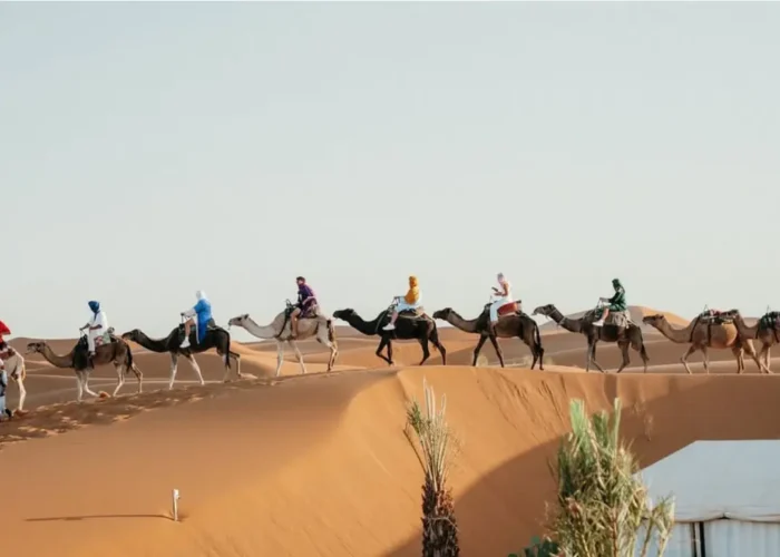 Carovana di cammelli nel deserto di Merzouga al tramonto con il cielo dorato, simbolo del tour di 8 giorni in Marocco da Tangeri a Marrakech.