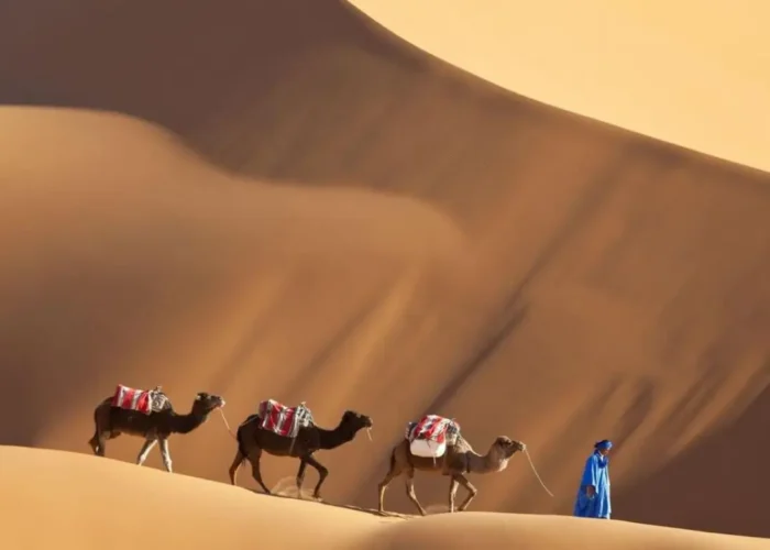 Carovana di dromedari al tramonto nel deserto di Merzouga durante un Tour Marocco 10 Giorni da Casablanca, un’esperienza autentica nel Sahara.