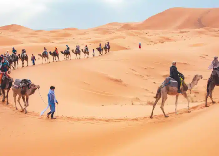 Tour di 4 giorni in Marocco: escursione in cammello tra le dune dorate di Erg Chebbi nel deserto di Merzouga